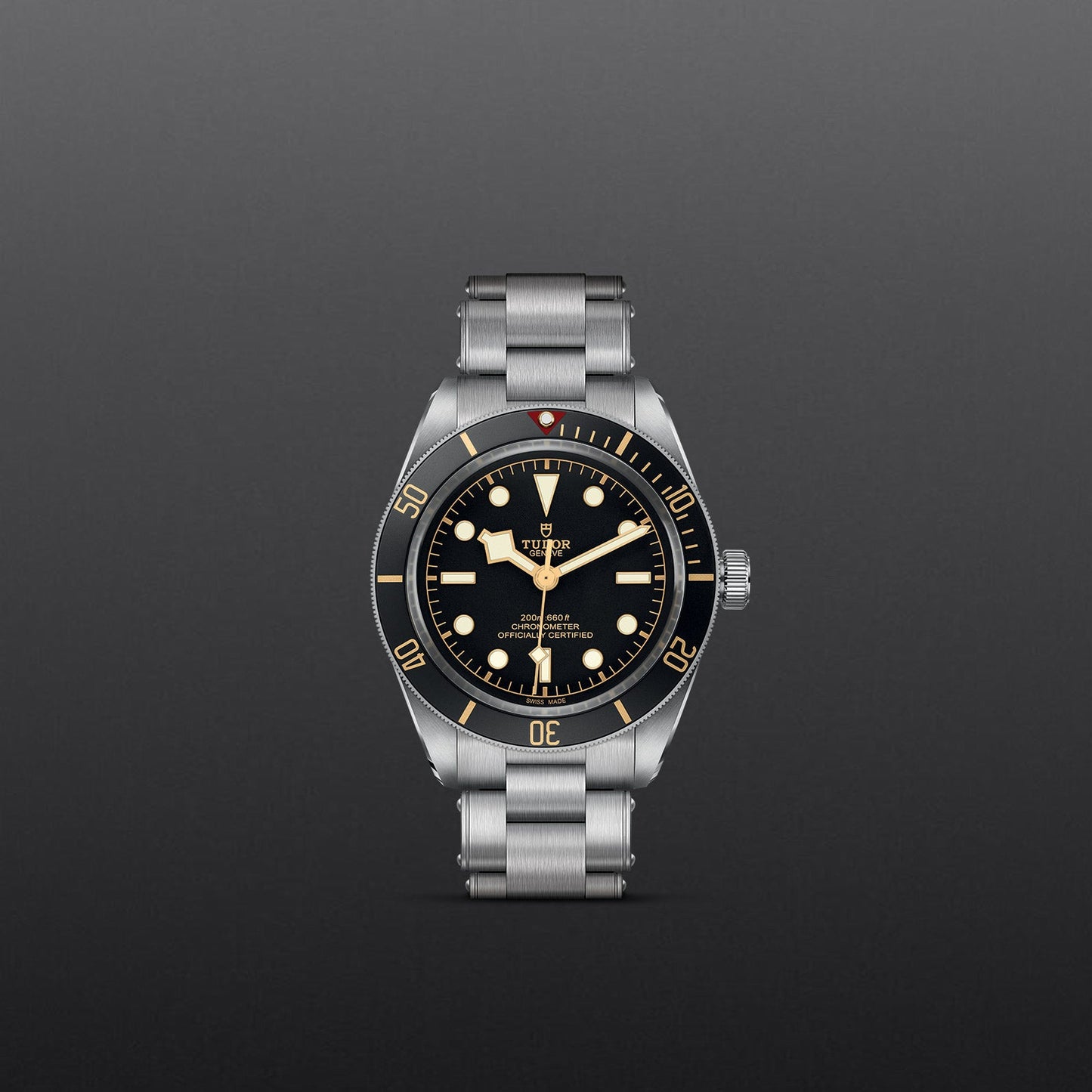 TUDOR BLACK BAY 58
