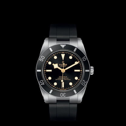 TUDOR BLACK BAY 54