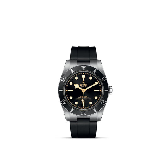 TUDOR BLACK BAY 54