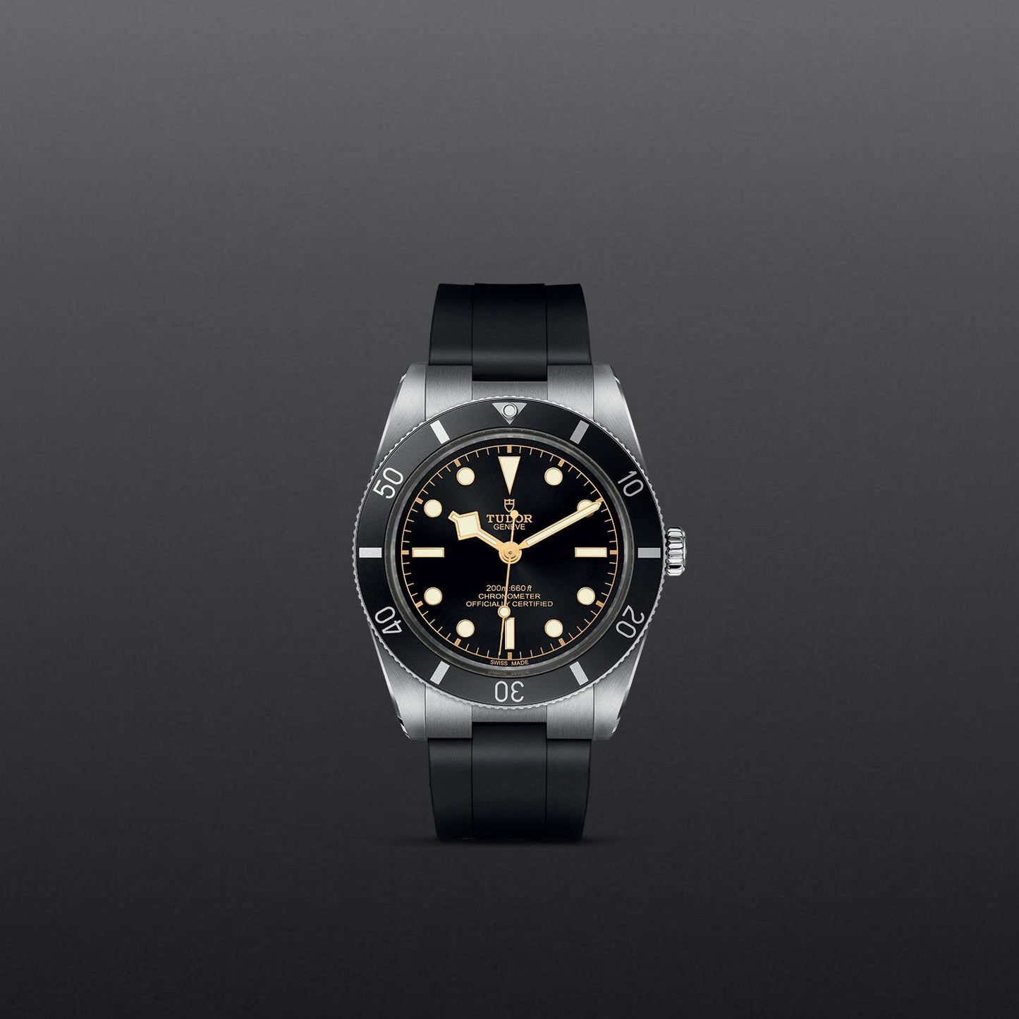 TUDOR BLACK BAY 54